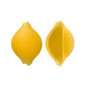 CONCHIGLIE RIG.42 RUMMO LENTA LAV.GR.500